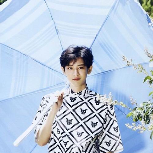 Dj子龙-全国语ProgHouse音乐桃花朵朵开无心睡眠鼓Vol.6专辑串烧