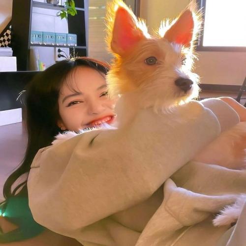 DjAkc-国粤语Electro音乐回味青春我要向前飞我是等爱的玫瑰专辑串烧