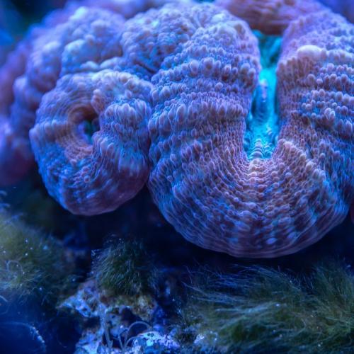 思南Dj禹豪-国粤语Electro音乐只为你着迷流行专辑串烧